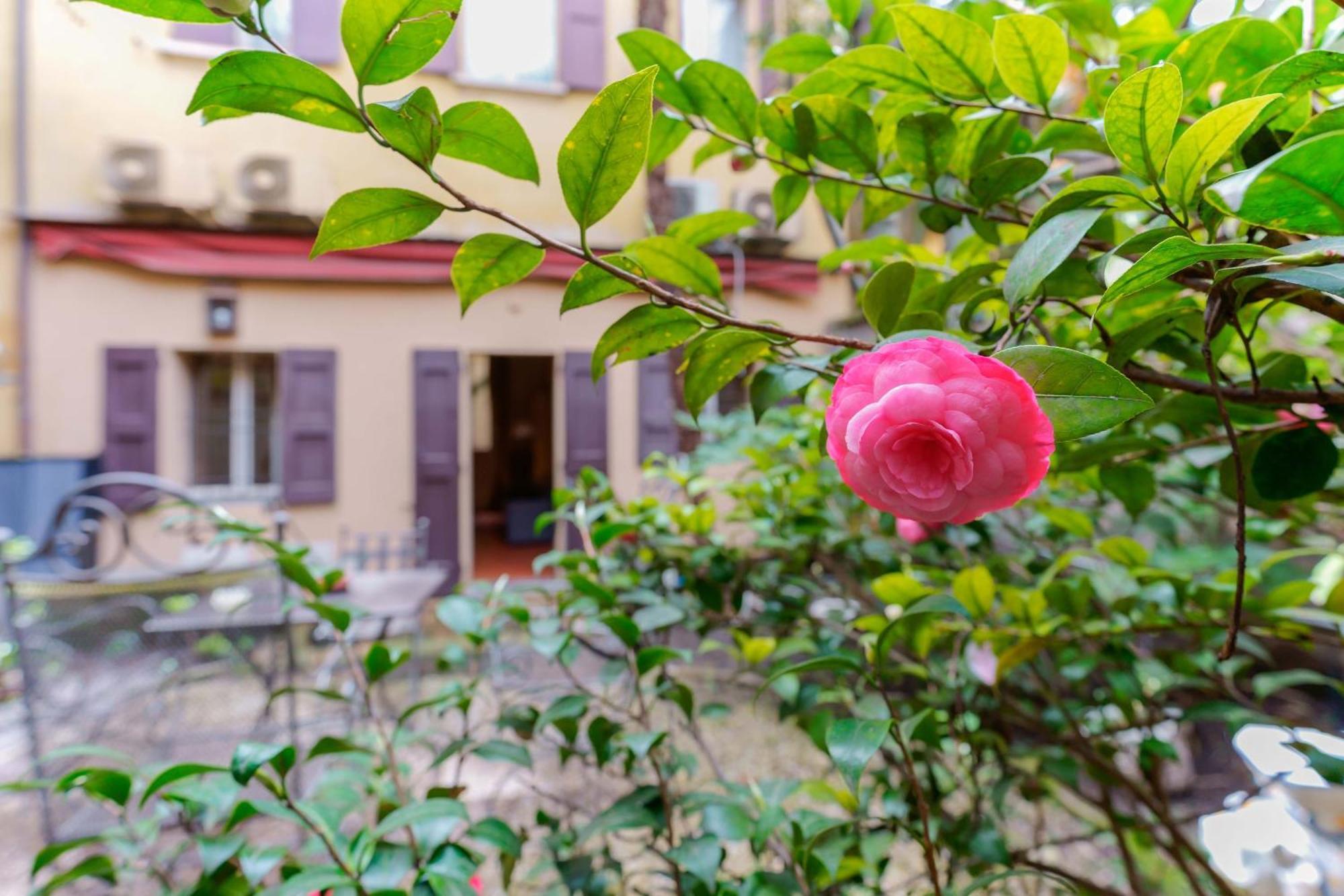 Cantarana Apartments Bolonia Exterior foto